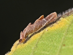 Octobre 2025 (Côtes d'Armor)