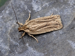 Septembre 2016 (Finistère)