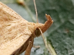 Juillet 2025 (Indre)