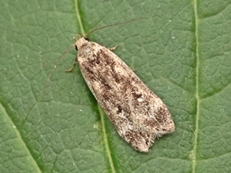 Septembre 2025 (Orne)