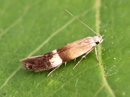 Mai 20225 (Ardèche)