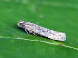 Mai 2025 (Côtes d'Armor)