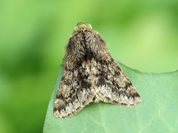 Mars 2025 (Côtes d'Armor)