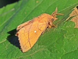 Juillet 2025 (Indre)