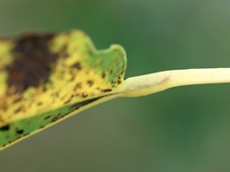 Novembre 2025 (Côtes d'Armor)