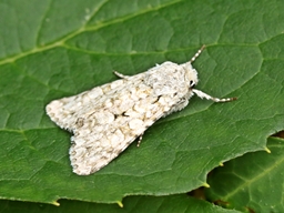 Septembre 2025 (Orne)