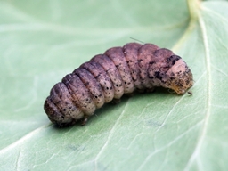 Octobre 2025 (Côtes d'Armor)