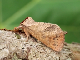 Juillet 2025 (Indre)