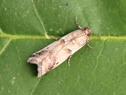 Juillet 2025 (Indre)