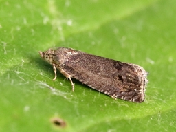 Septembre 2024 (Orne)